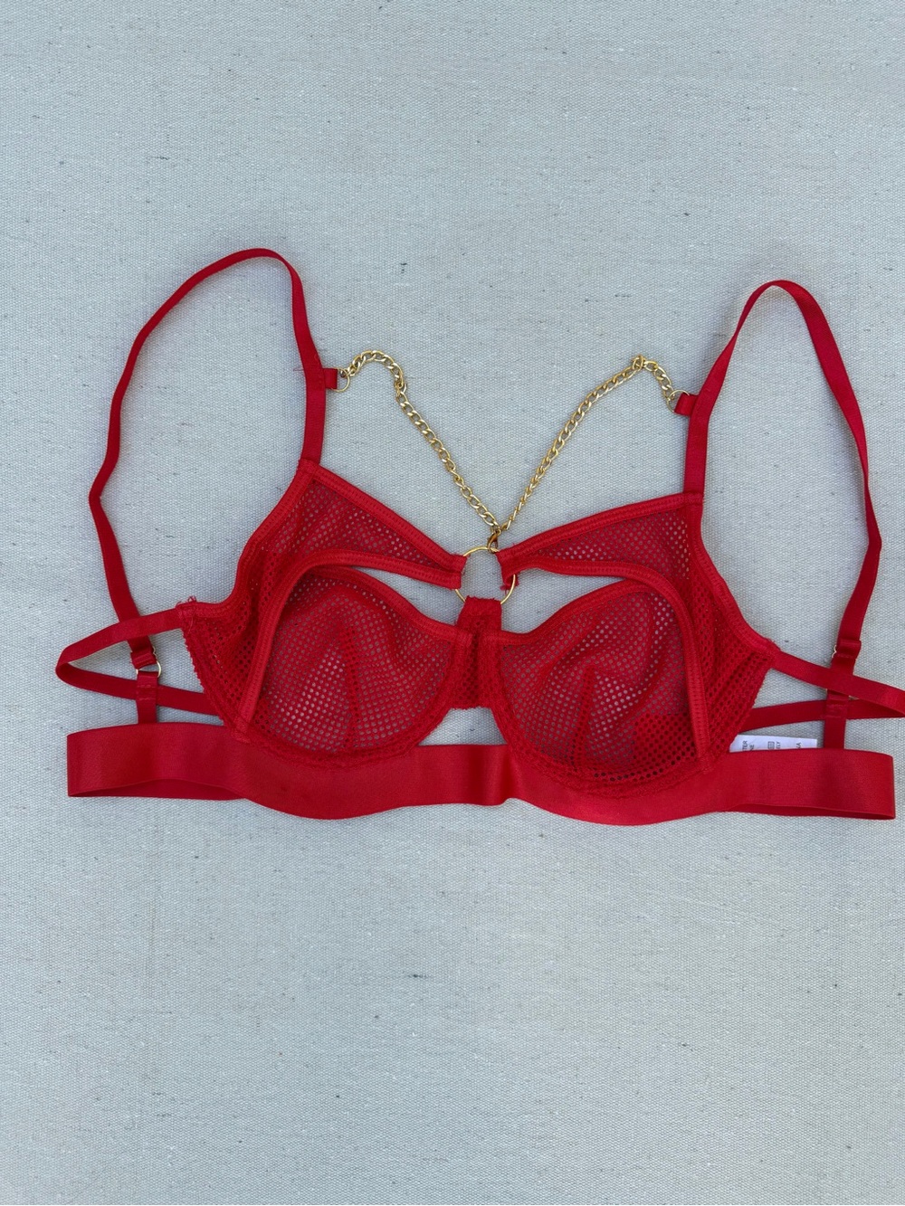 Red Mesh Underwire Bra with Gold Chain Detail